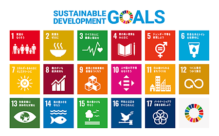 SDGs(持続可能な開発目標)17目標と169ターゲットの詳細解説の画像