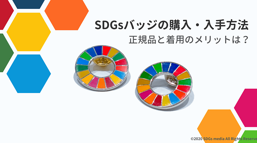 【国連本部純正品】SDGs  ピンバッジ　【新品未使用】