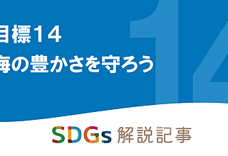 SDGs目標14 海の豊かさを守ろう を解説｜世界と日本の課題とはのイメージ