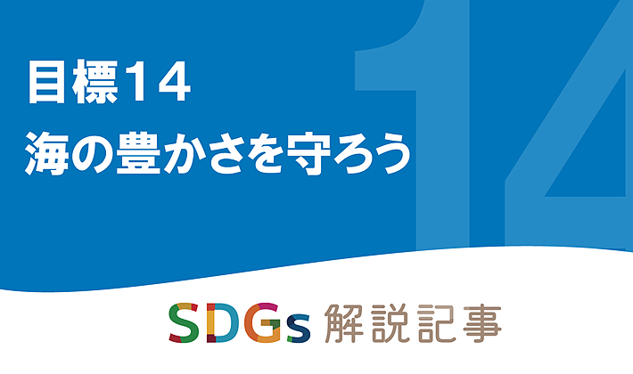 SDGs目標14 海の豊かさを守ろう を解説｜世界と日本の課題とはの画像