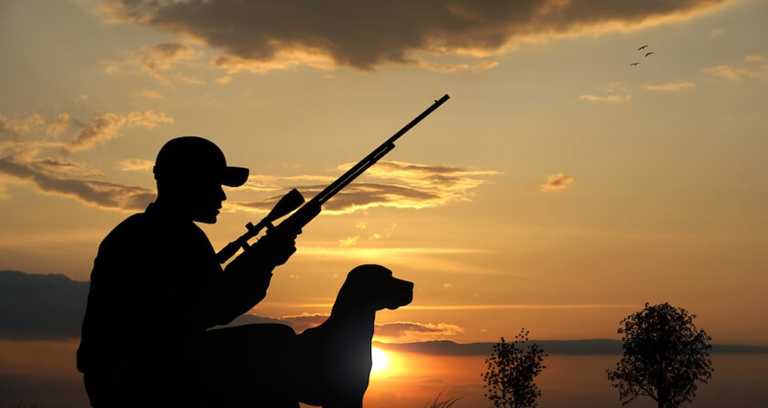 自然との共生を目指す狩猟の役割とはの画像