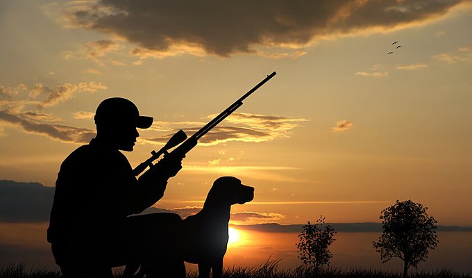 自然との共生を目指す狩猟の役割とはの画像
